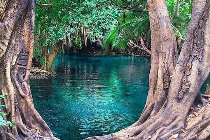 Chemka Hot Springs safari destination