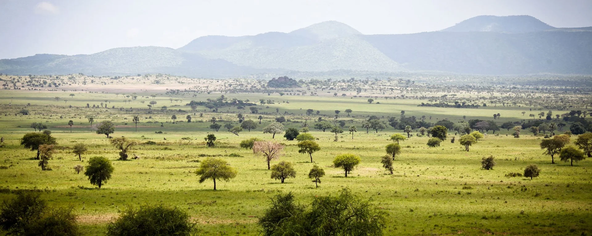 Kidepo Valley National Park Uganda safari destination