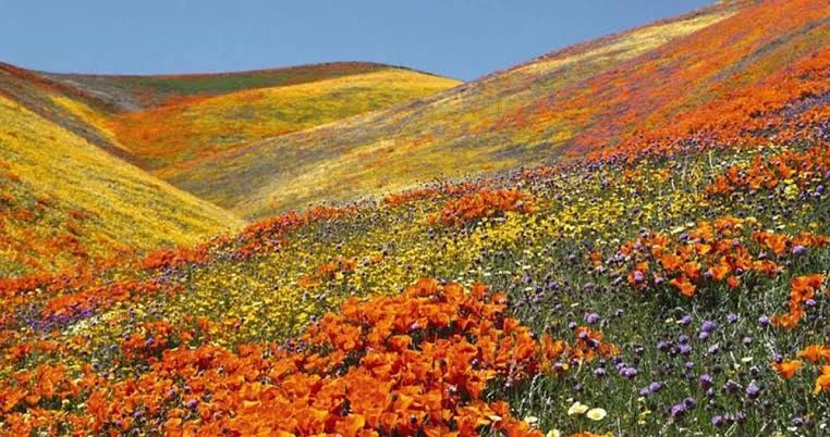 Kitulo Plateau National Park safari destination