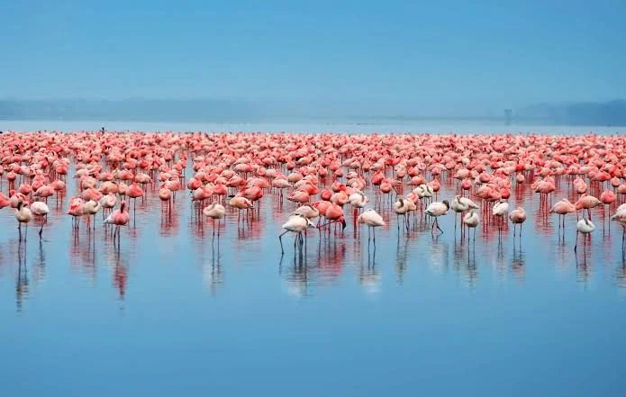 Lake Eyasi safari destination