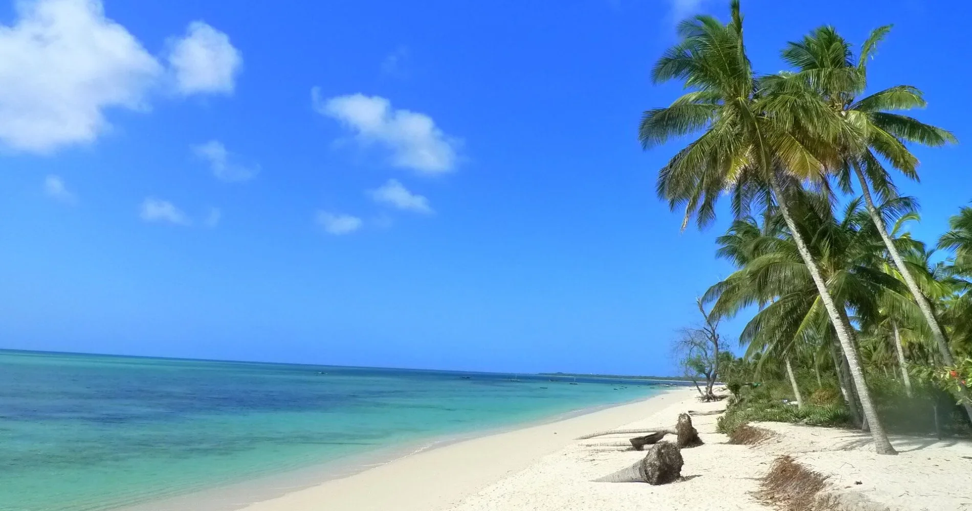 Mafia Island safari destination