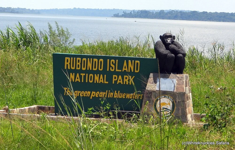 Rubondo Island National Park safari destination