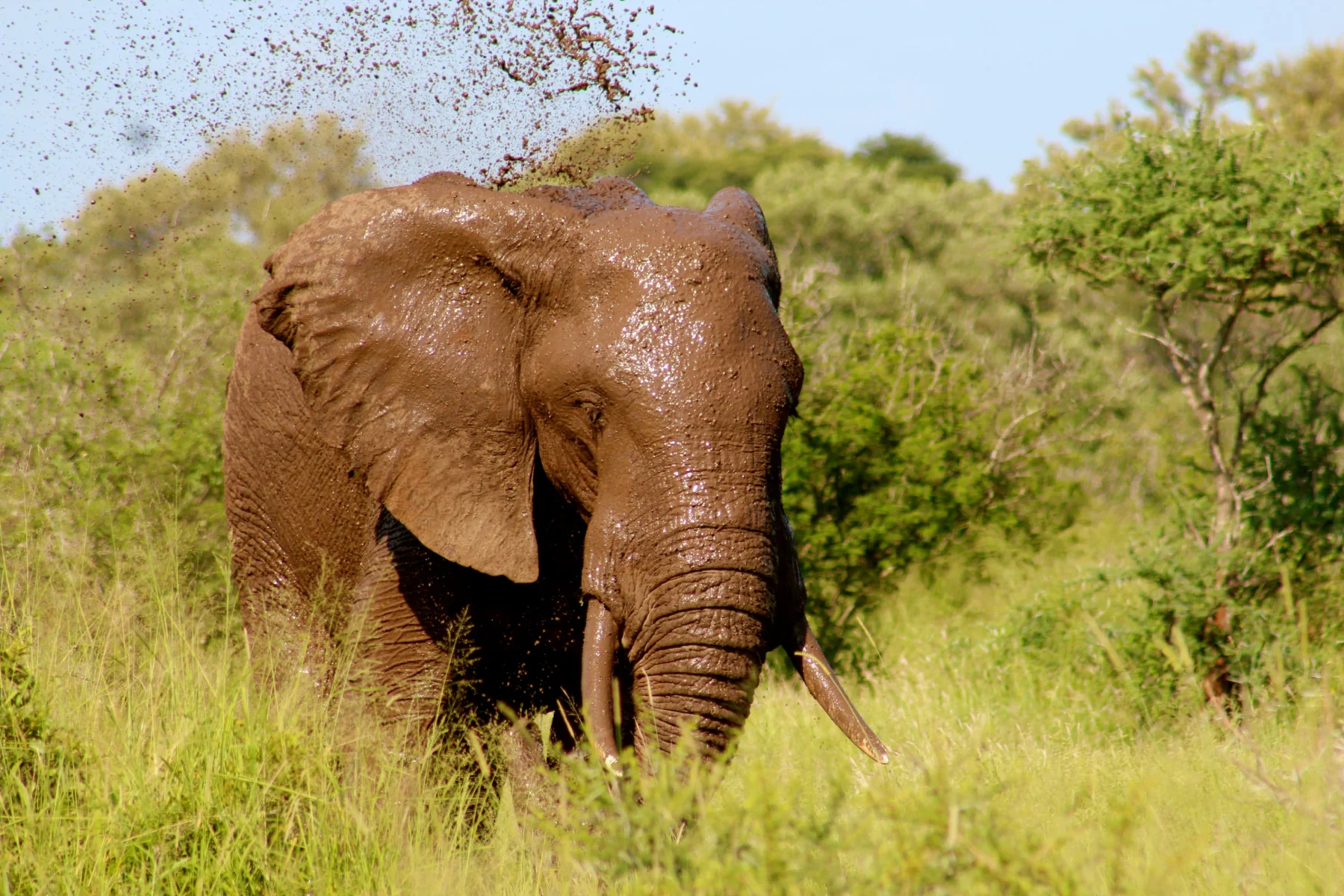 Tarangire National Park Tanzania safari destination