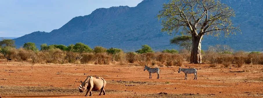 Tsavo East & West National Parks Kenya safari destination