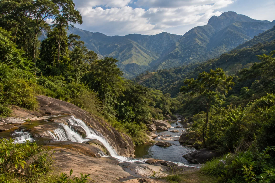 Udzungwa Mountains National Park Tanzania safari destination