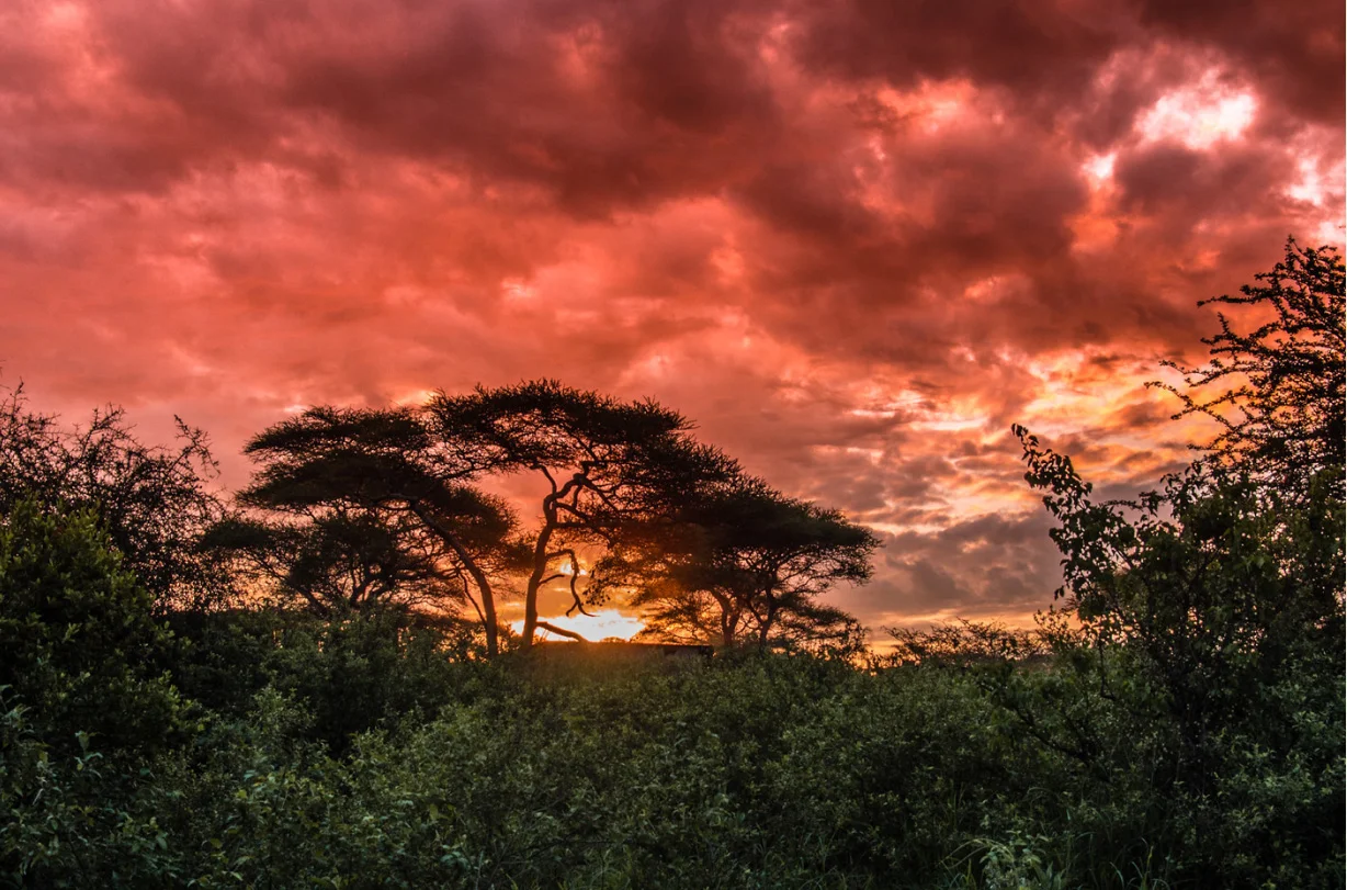1-Day Chemka Hot Springs Safari - Tanzania safari tour
