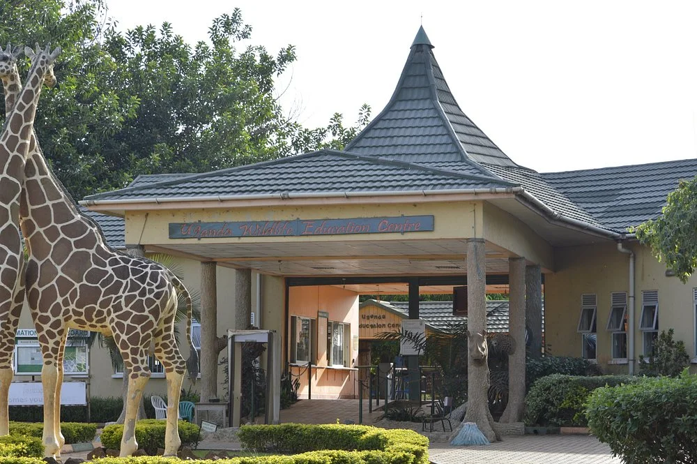 1-Day Entebbe Wildlife Education Centre Safari