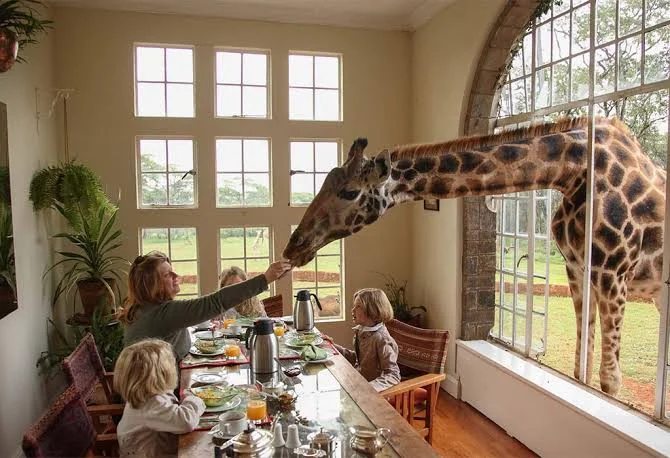 1-Day Giraffe Centre & Karen Blixen Museum Safari