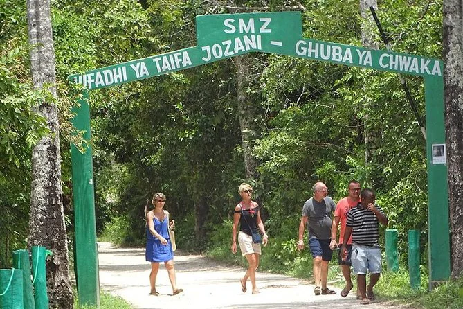 1-Day Jozani Forest Red Colobus Safari - Tanzania safari tour
