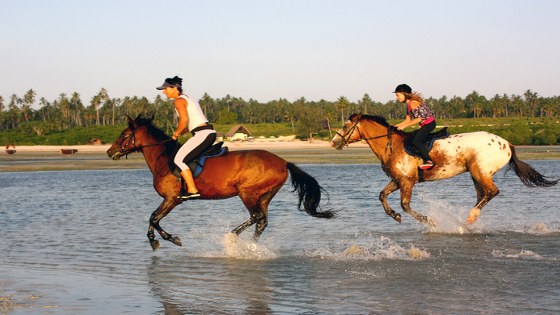 12 Days Tanzania Safari and Zanzibar Honeymoon - Tanzania Safari Tour Package