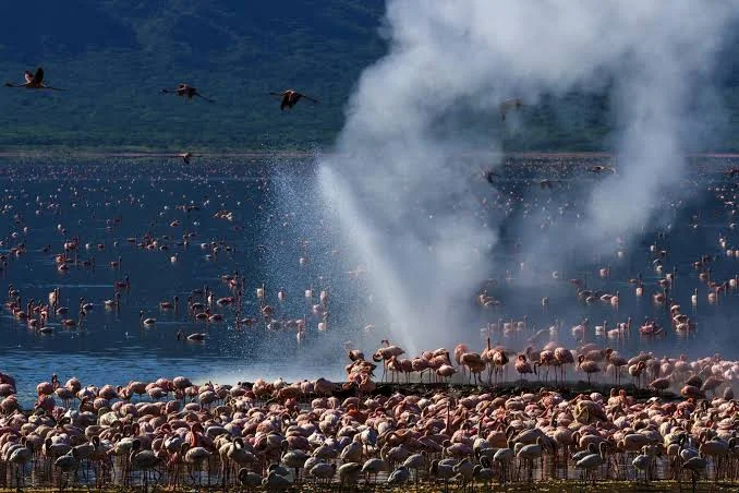 2-Day Lake Baringo Birding & Crocodile Safari
