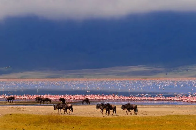 2-Day Lake Magadi Soda Lake Safari