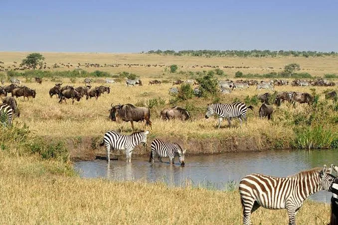 2-Day Loita Hills Maasai Safari
