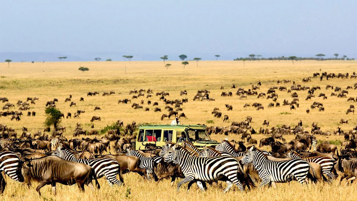 2-Day Longido Mountain & Maasai Safari Tanzania safari tour