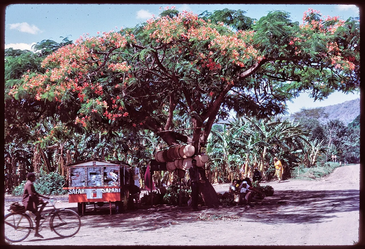 2-Day Mto wa Mbu Cultural Village Safari - Tanzania safari tour