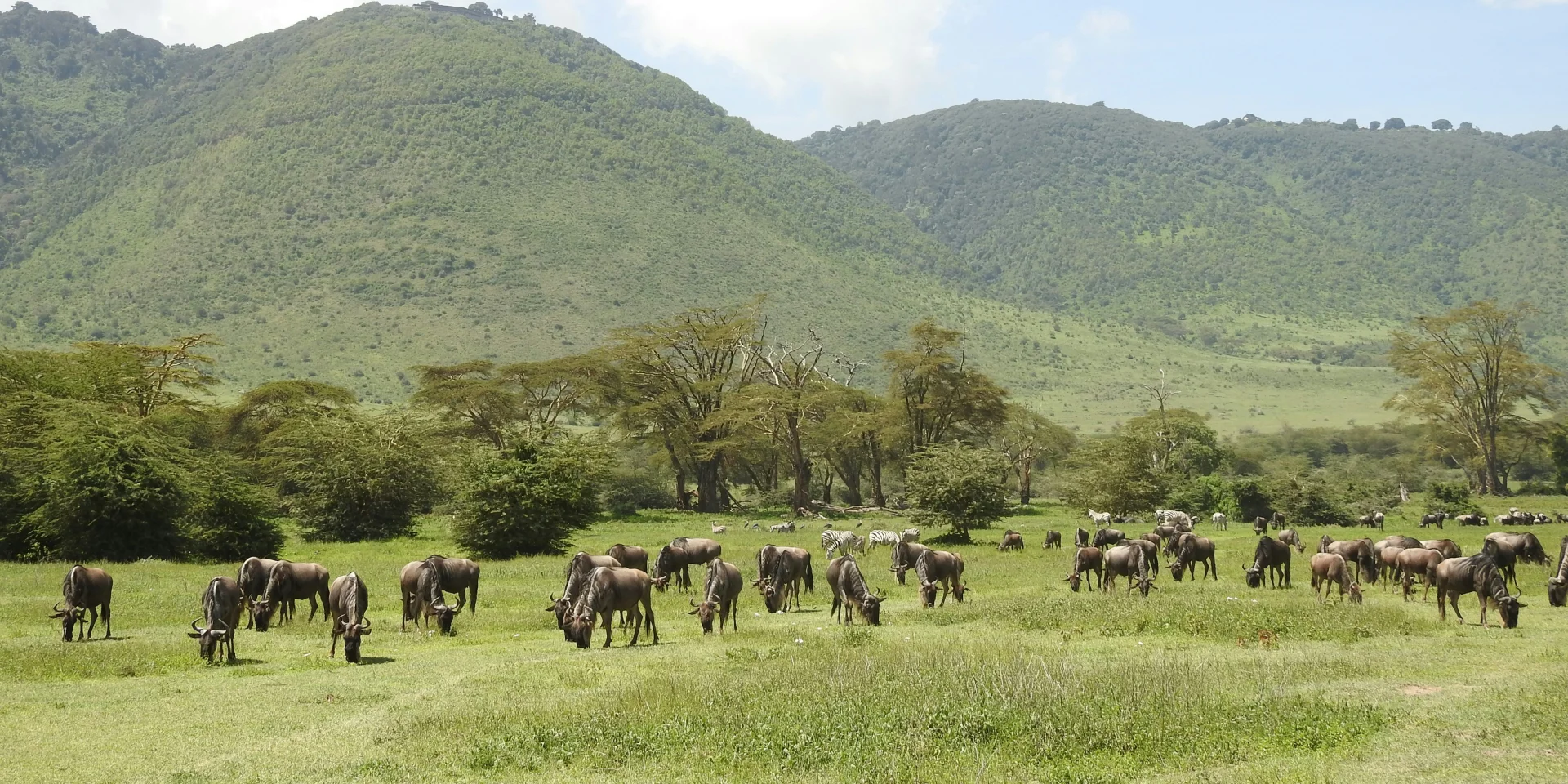 2-Day Ngorongoro Crater Safari