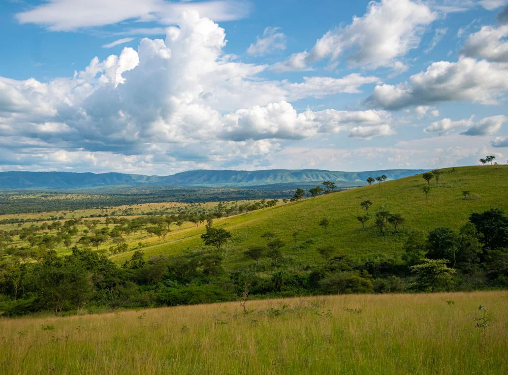 2-Day Tarangire Elephant Safari - Tanzania safari tour