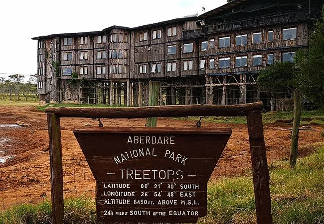 3-Day Aberdare Tree Hotel Safari Tanzania safari tour