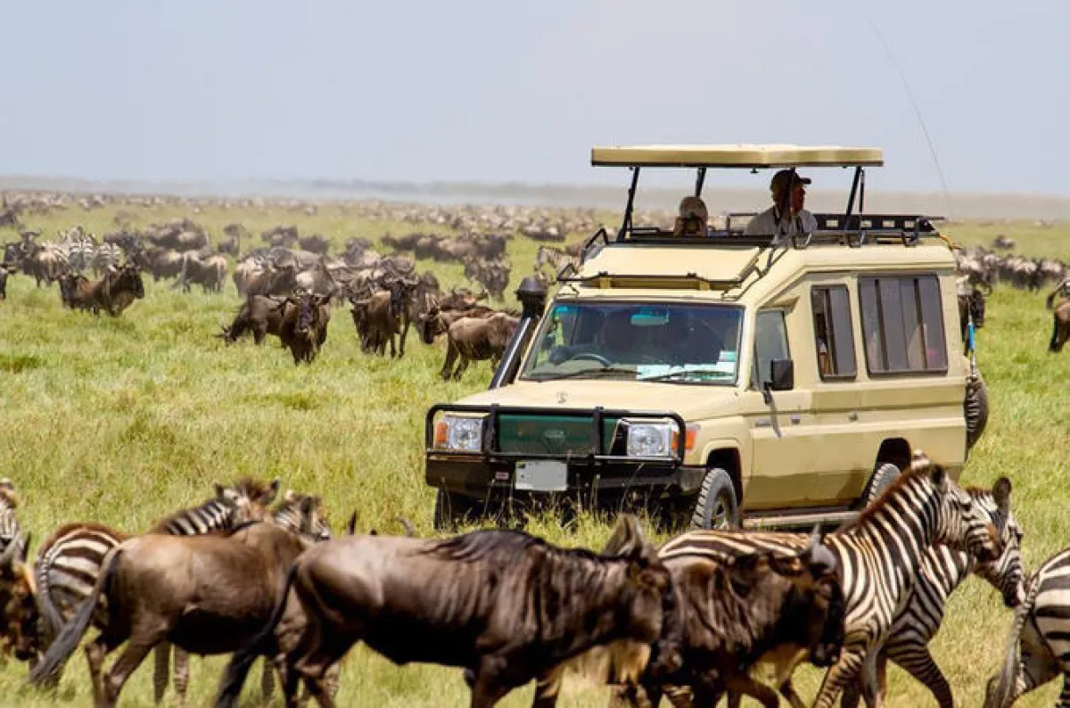 3-Day Best of Ngorongoro, Tarangire and Maasai culture - Tanzania Safari Tour Package
