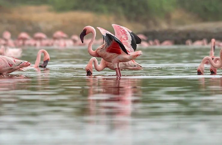 3-Day Engaruka Ruins & Lake Natron Cultural Safari