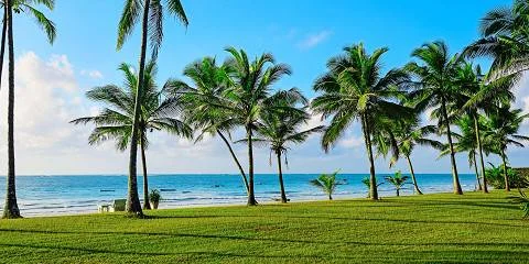 3-Day Malindi Italian Heritage & Beach Safari Tanzania safari tour