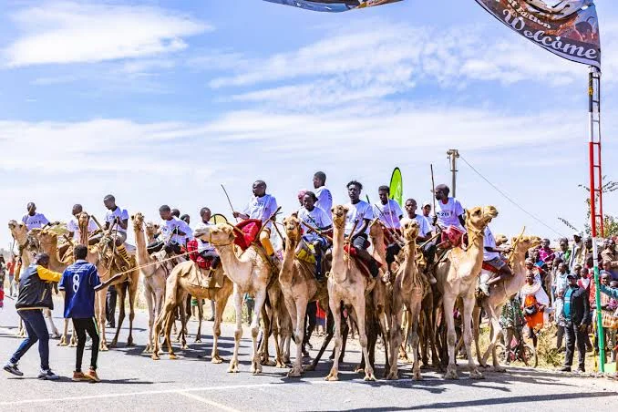 3-Day Maralal Camel Culture Safari