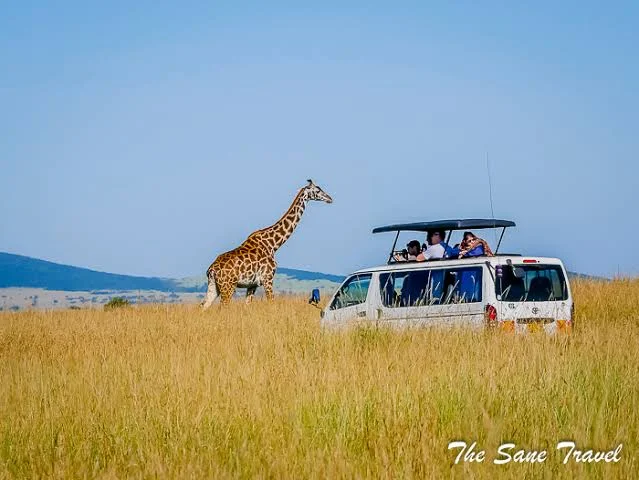 3-Day Masai Mara Safari - Kenya safari tour
