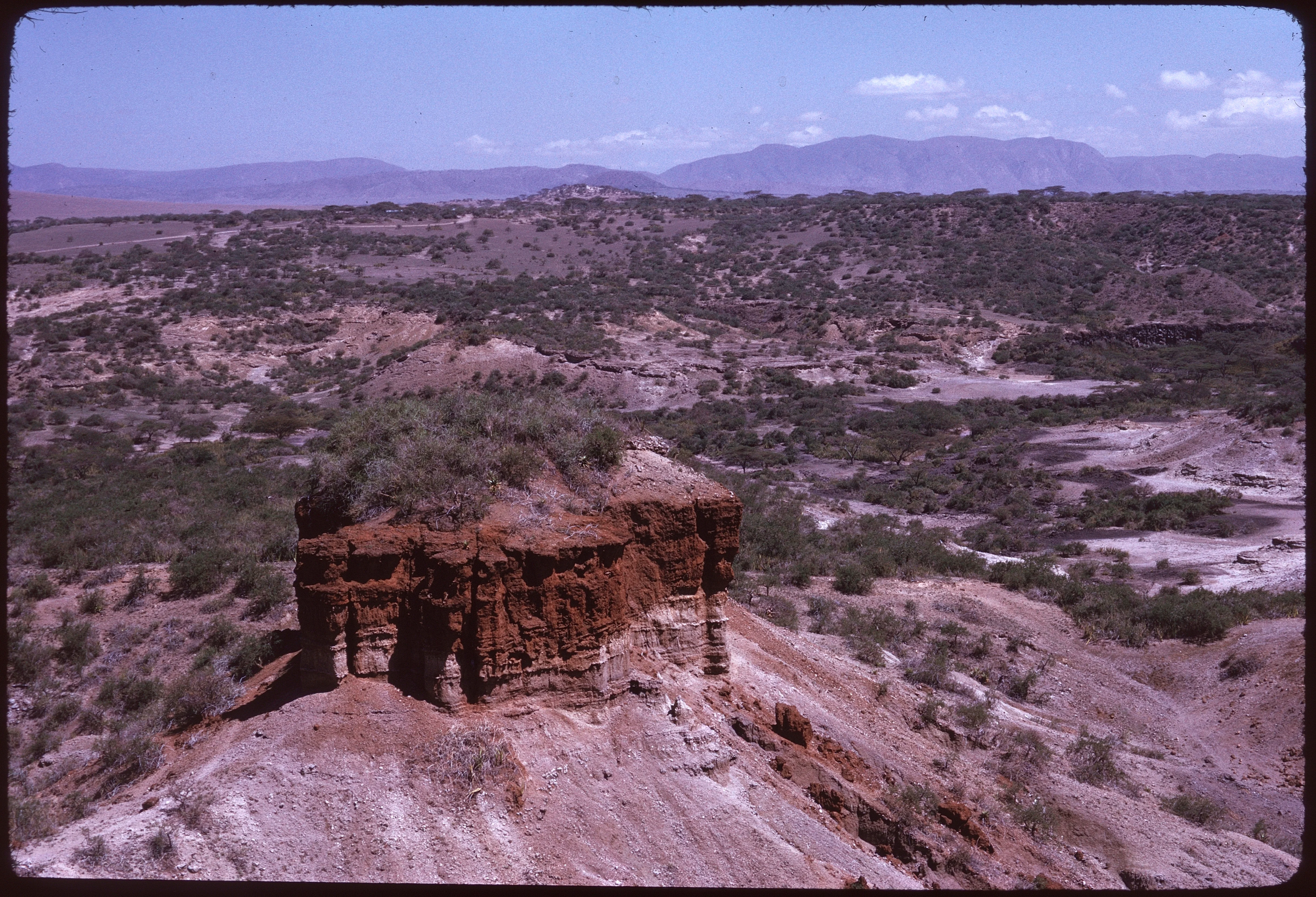 3-Day Olduvai Gorge Cradle of Mankind Safari