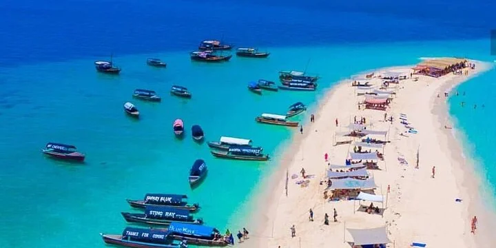 3-Day Pemba Island Diving Safari Tanzania safari tour