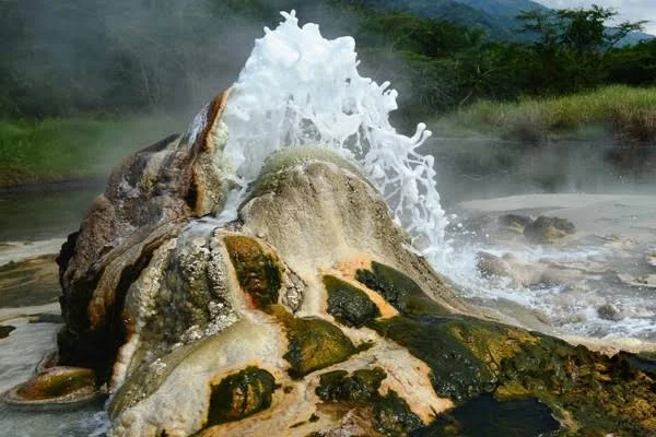 3-Day Semuliki National Park Hot Springs Safari