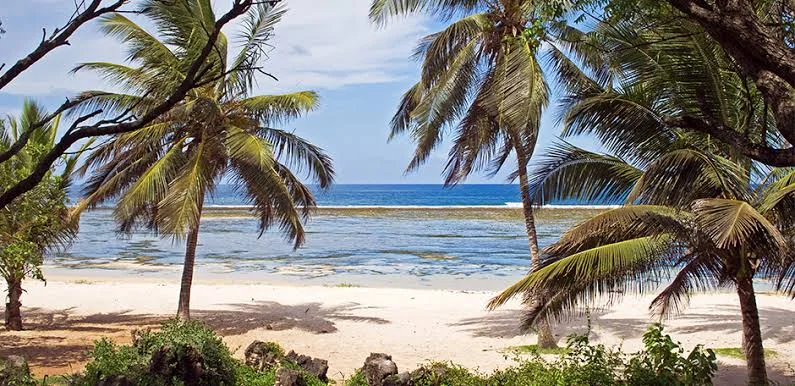 3-Day Ssese Islands Relaxation Safari