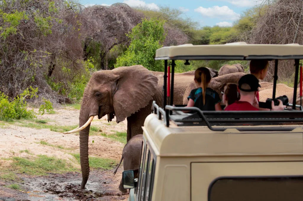 4-Day Loliondo & Lake Natron Cultural Safari