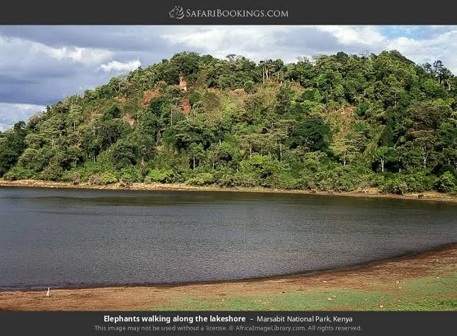 4-Day Marsabit National Park Big Tusker Safari Tanzania safari tour