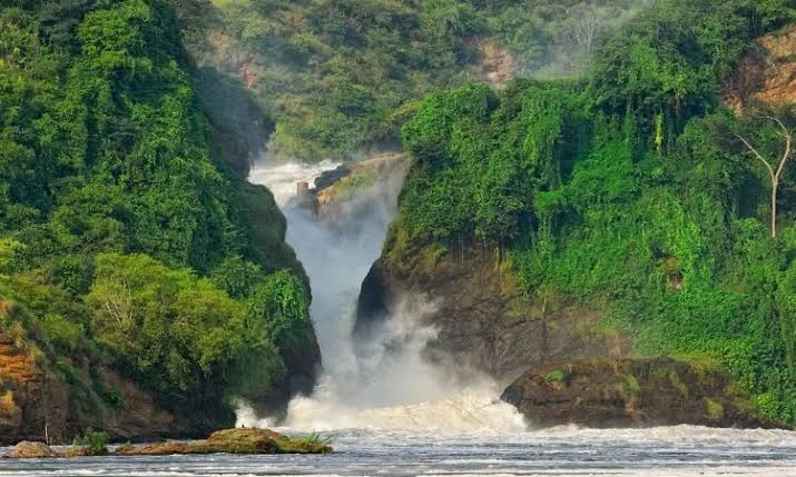 4-Day Murchison Falls National Park Safari