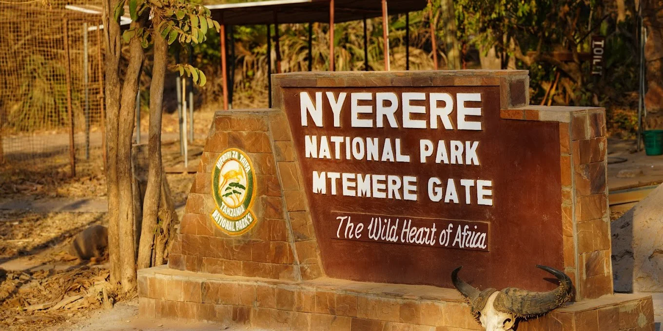 4-Day Nyerere & Zanzibar Fly-In Escape Tanzania safari tour