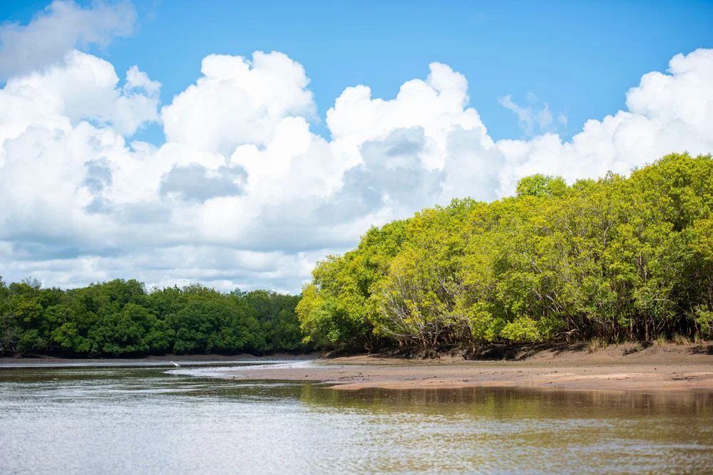 4-Day Saadani National Park Beach & Safari