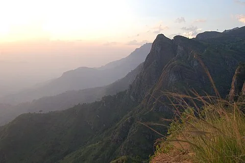 4-Day Usambara Mountains Hiking & Tea Estate Safari