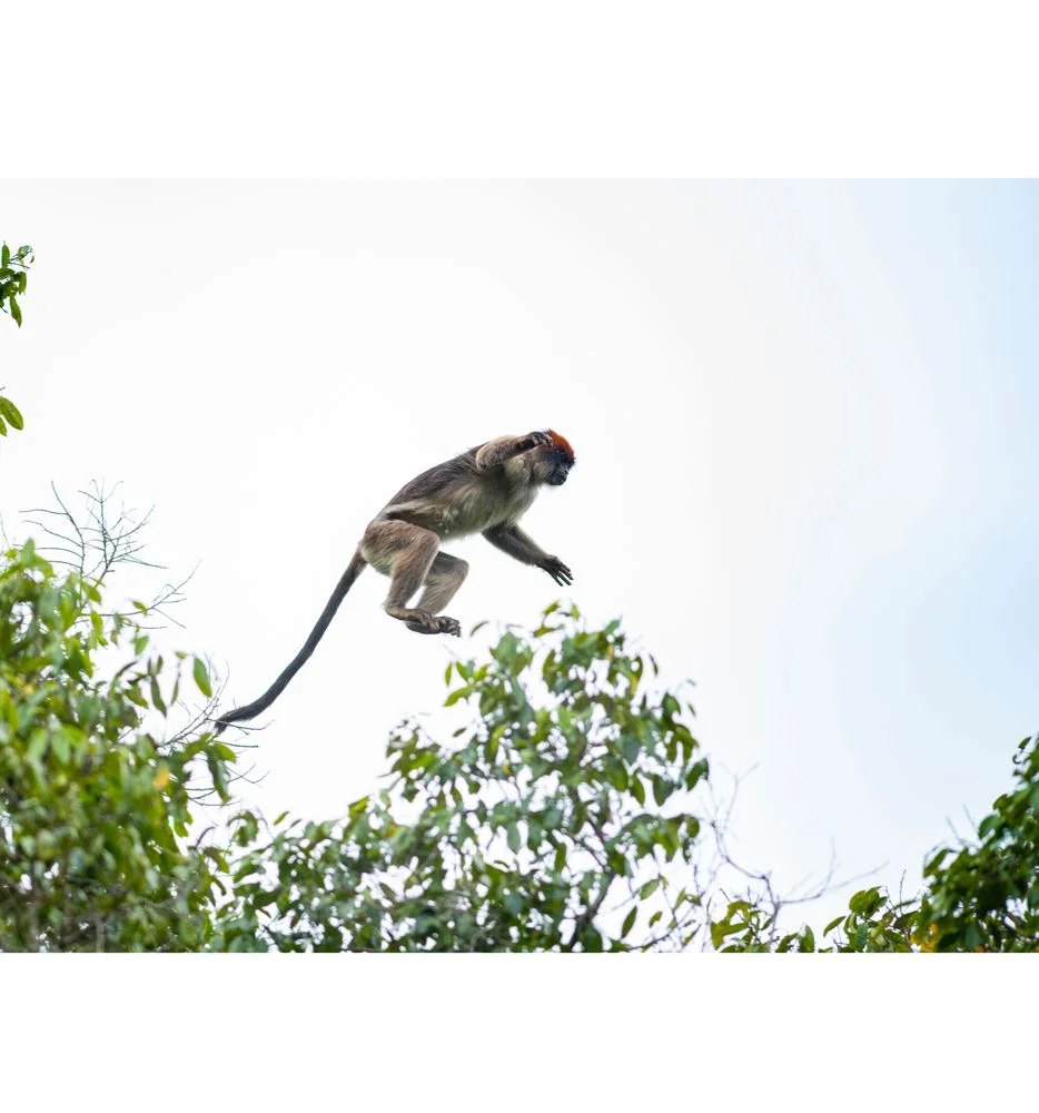 5-Day Safari from Kilimanjaro Airport