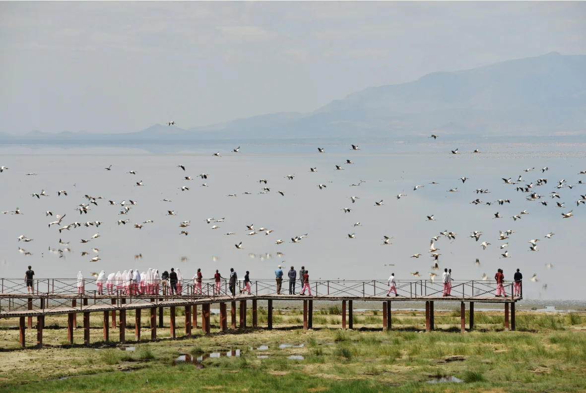 5-Day Tanzania Birding Safari Tanzania safari tour