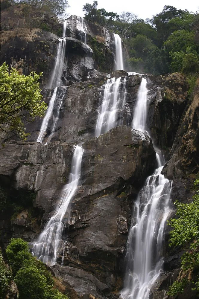 5-Day Udzungwa Mountains Hiking Safari Tanzania safari tour