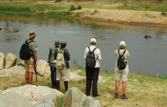 6-Day Adventure Safari: Walking, Camping & Wildlife