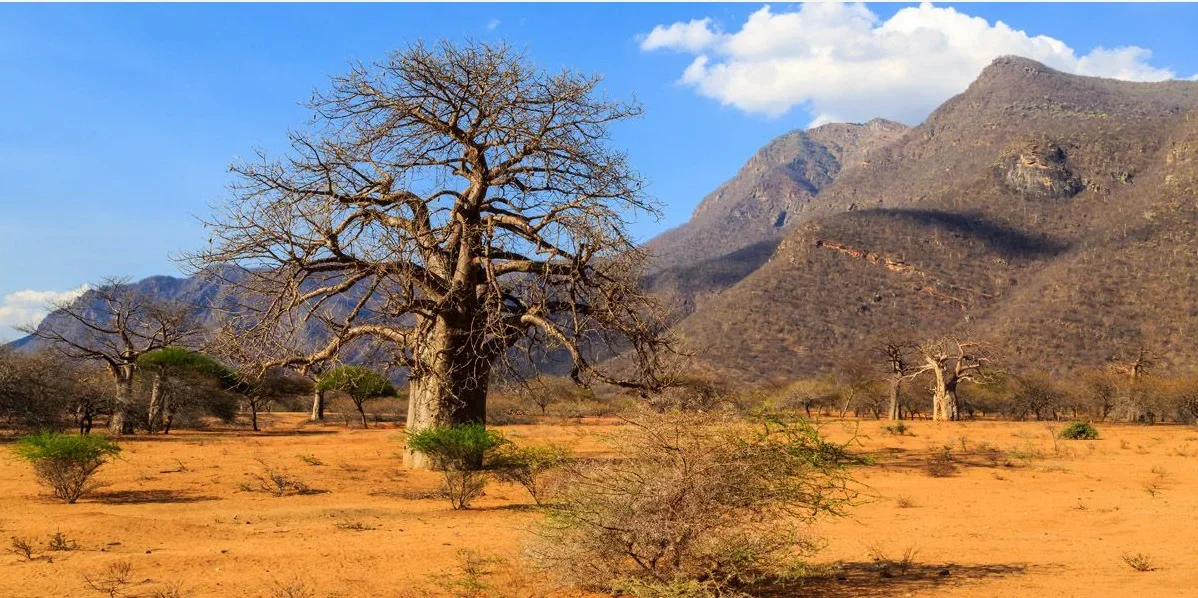 6-Day Tanzania Safari in December