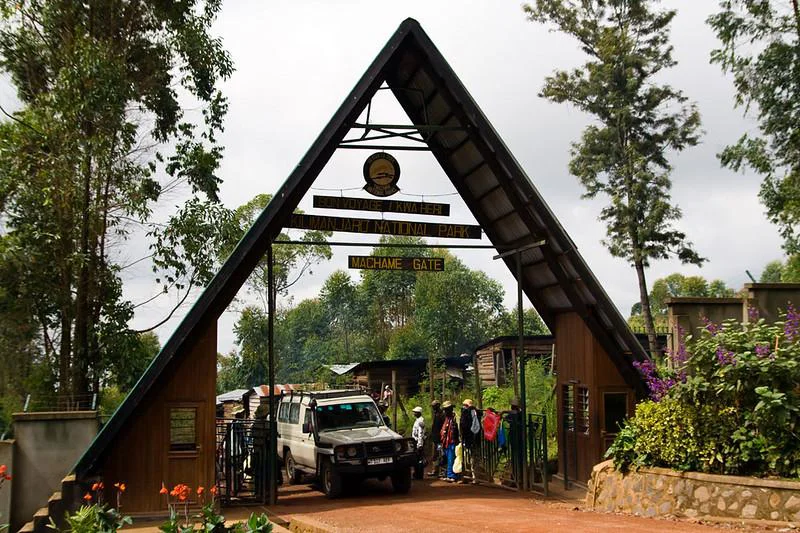6-Day Umbwe Route Kilimanjaro Trek Tanzania safari tour
