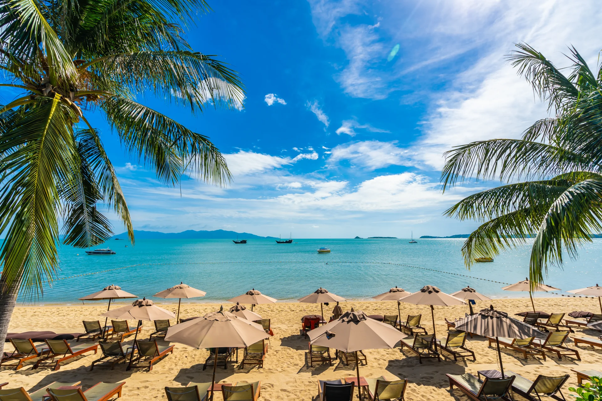 6-Day Zanzibar & Pemba Island Hopping Safari