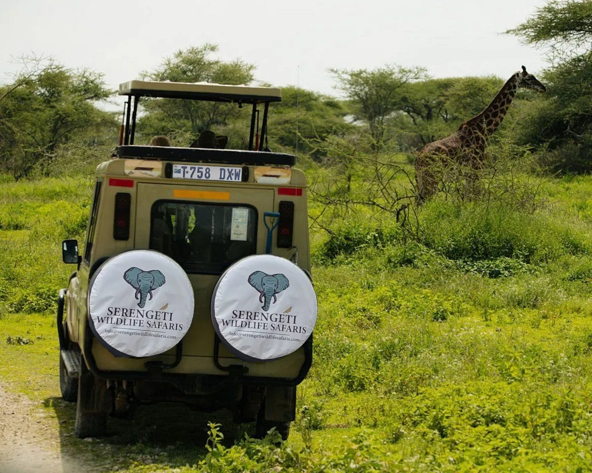 6 Days Tarangire Serengeti and Ngorongoro Luxury Safari - Tanzania Safari Tour Package