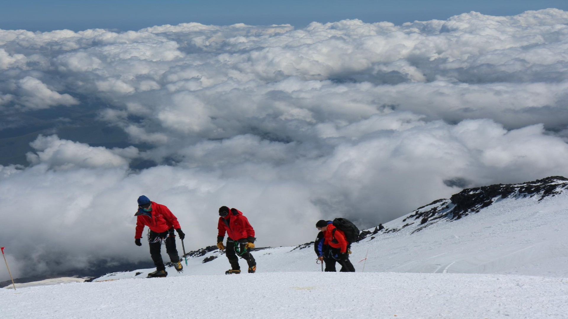 8 Days Rongai Kilimanjaro Route - Tanzania Safari Tour Package
