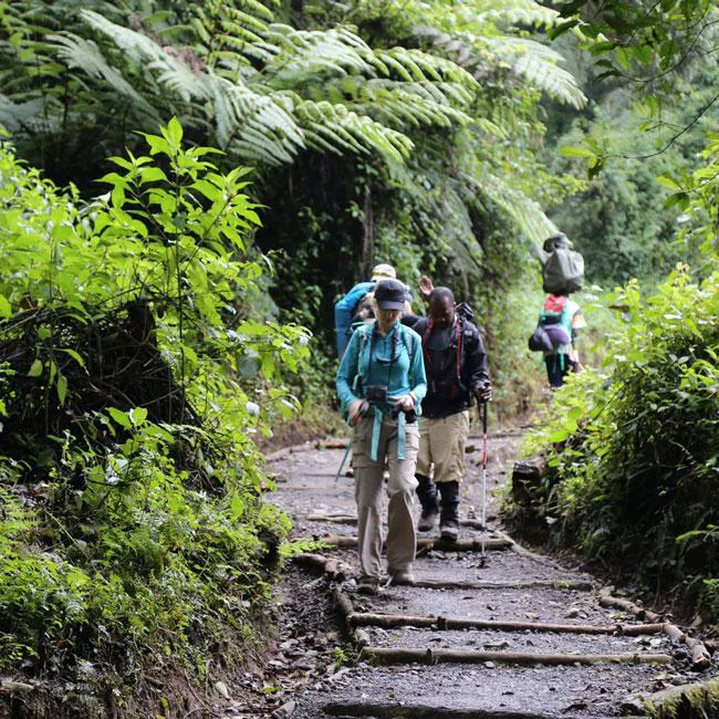 9-Day Northern Circuit Route Kilimanjaro Trek