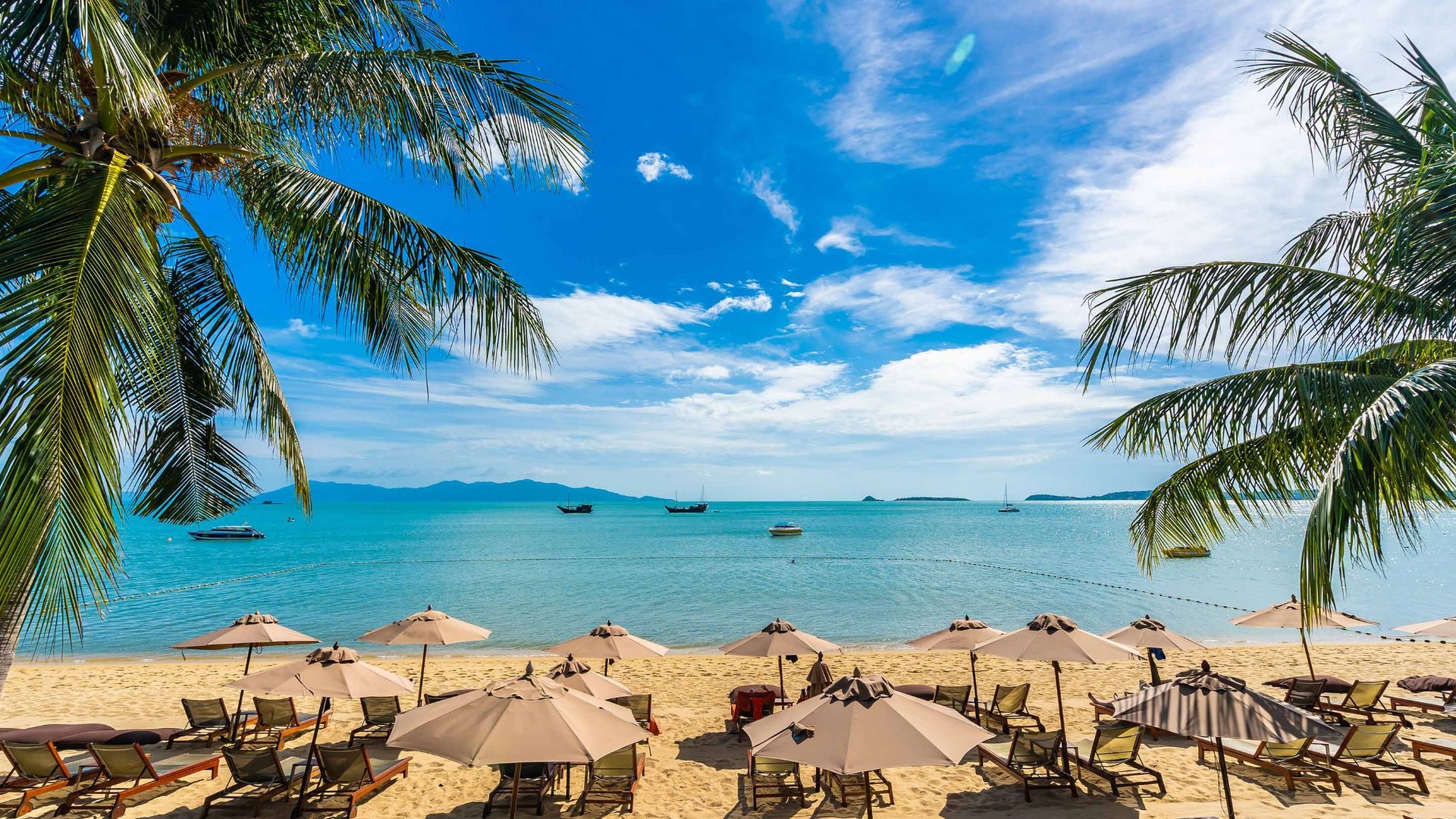 1 Day Zanzibar Dolphin Tour - Tanzania Safari Tour Package