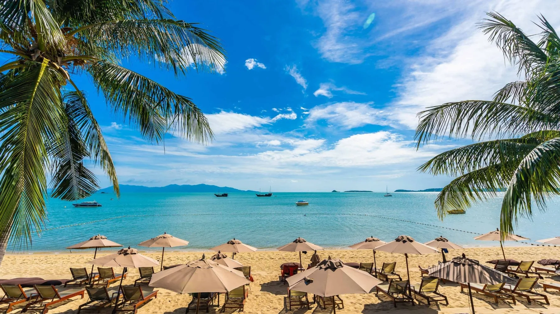 1 Day Zanzibar Dolphin Tour Tanzania safari package