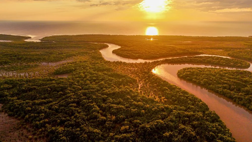 Best Time to Visit Tanzania